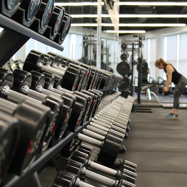 Gimnasio | www.condrupal.com